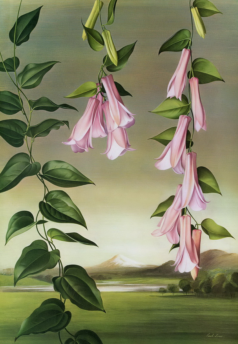 Paul Jones 1921-1997 ~ pintor australiano | Flores de Mayo 