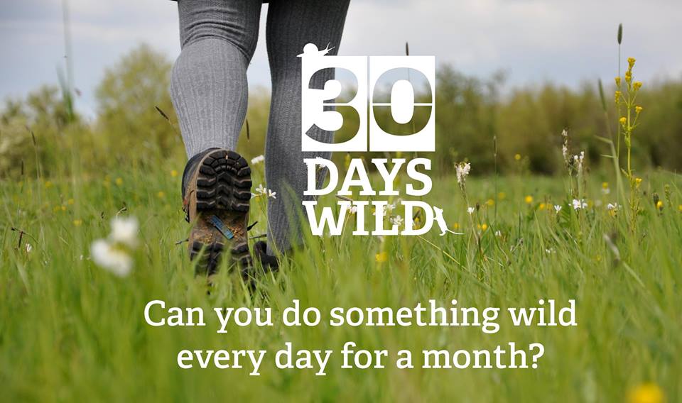 30 days wild