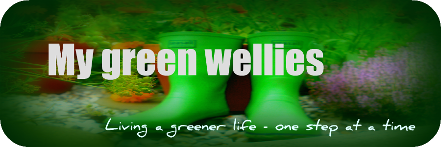 My Green Wellies