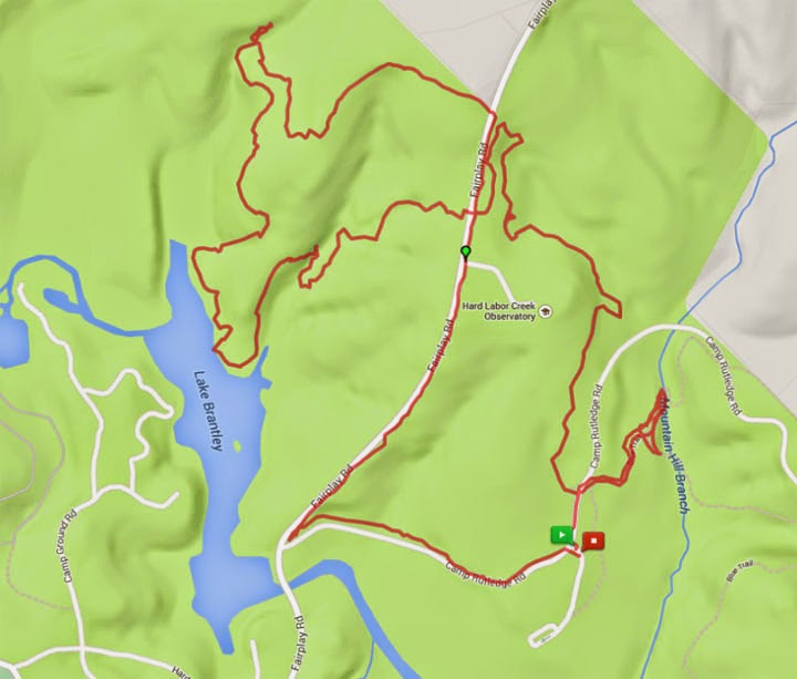 Anybody Seen My Focus? Hard Labor Creek State Park Lake Brantley