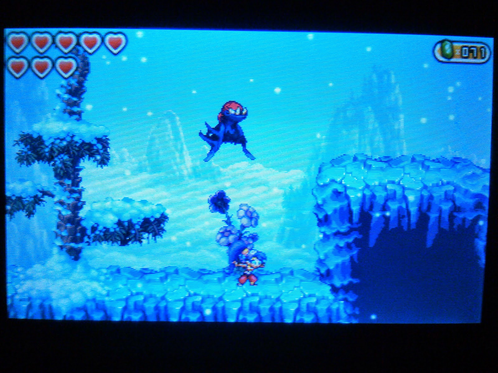 Shantae Pirate S Curse Frostbite Island Shantae Pirate S Curse Frostbite Island