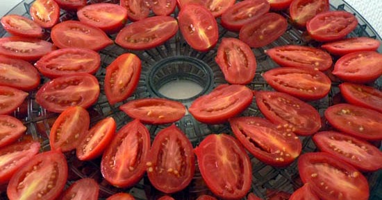 La Dure Vie Du Lapin Urbain Legumes La dure vie du lapin urbain: Légumes séchés