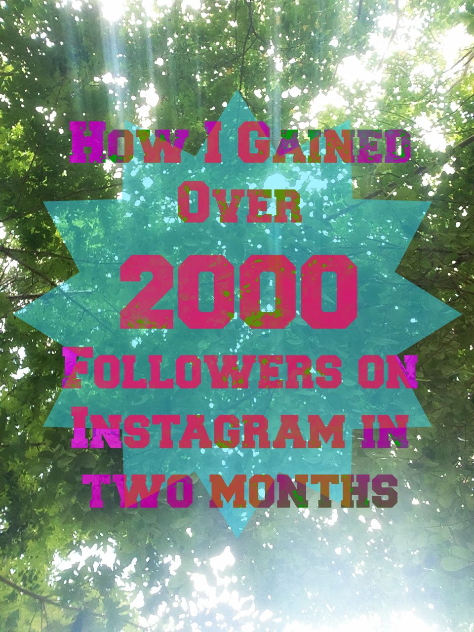 how to gain 2000 followers on instagram - is 2000 followers on instagram a lot