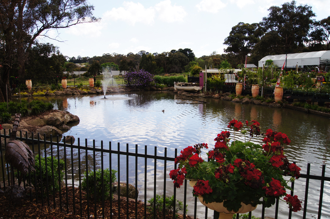 Intelliblog 09/10/2011 16/10/2011