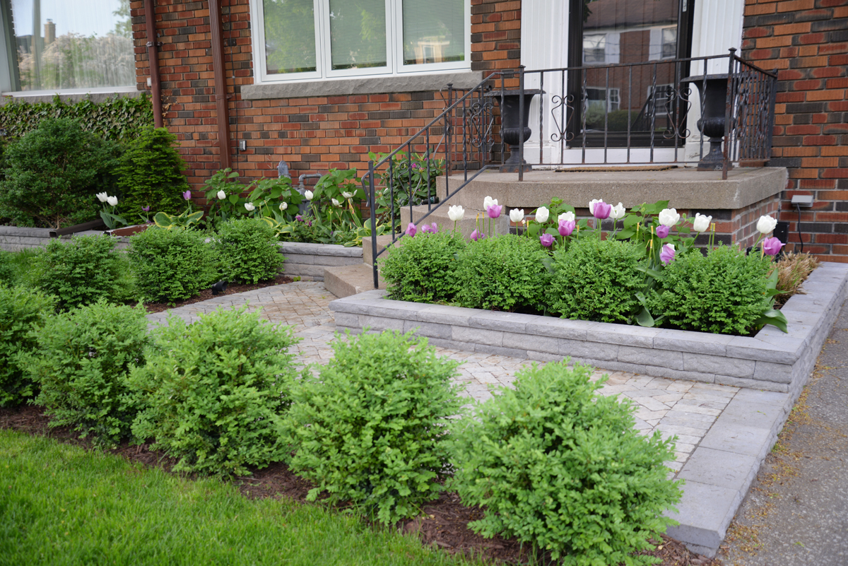 Https 2 Bp Blogspot Com Pp0p Hrw Hc Wym7ejryali Aaaaaaabo8y F