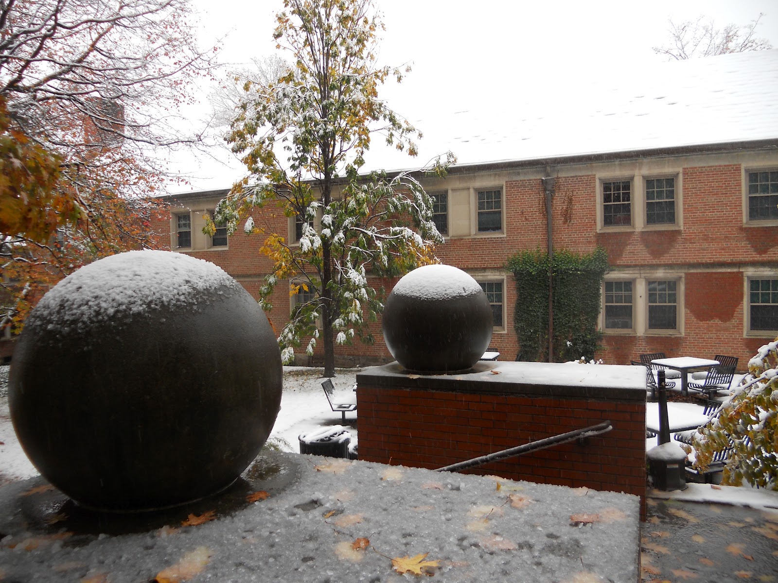 Nature Photography: First Snow at Princeton