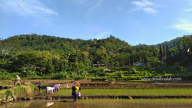Desa Wisata Sebagai Penggerak Perekonomian Desa – Dewi Tinalah Kulon Progo