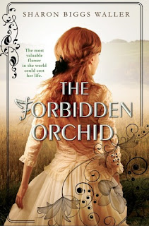 The Forbidden Orchid by Sharon Biggs Waller book cover