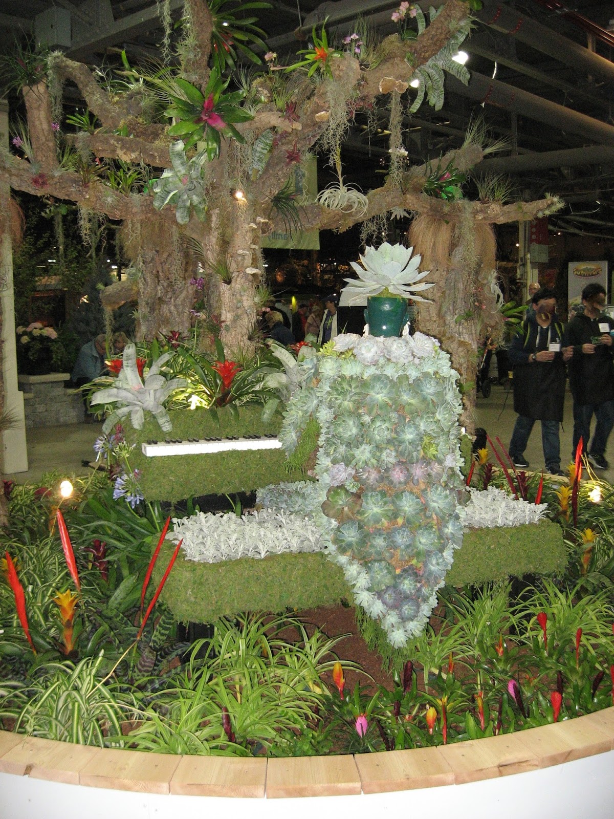Heidi Horticulture Canada Blooms 2016 City of Toronto Indoor Plant