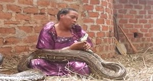 Elle dormait avec un serpent, et puis le vétérinaire lui a dit quelque chose choquante ...