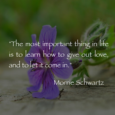 The most important thing in life is to learn how to give out love, and to let it come in. - Morrie Schwartz