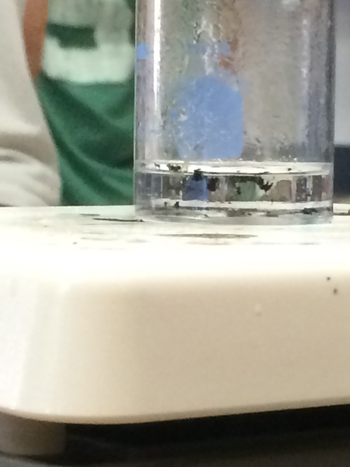 EFellows28 My Chemistry Formula of a Chloride Lab