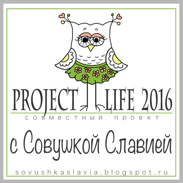 СП Project Life2016