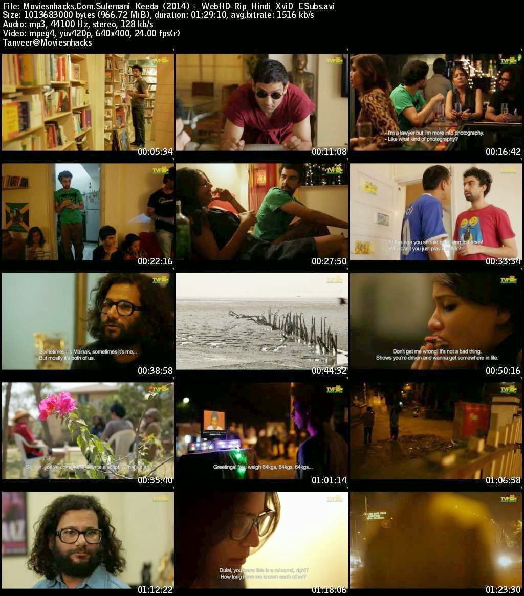 Sulemani Keeda (2014) Hindi 720p 