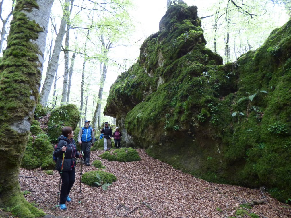 SALIDAS DE SENDERISMO ( LABERINTOS Y BOSQUE ENCANTADO DE URBASA ).