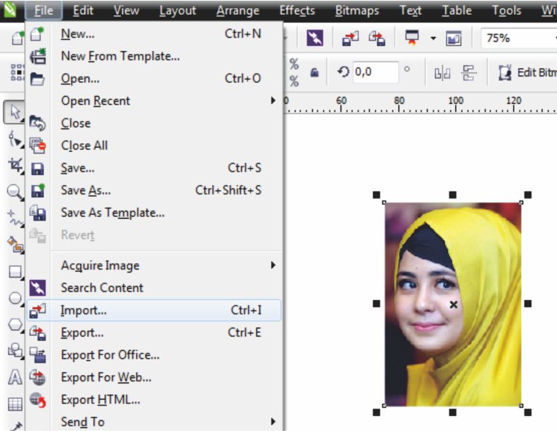 Inilah Cara Edit Foto dengan Efek Posterize di CorelDRAW
