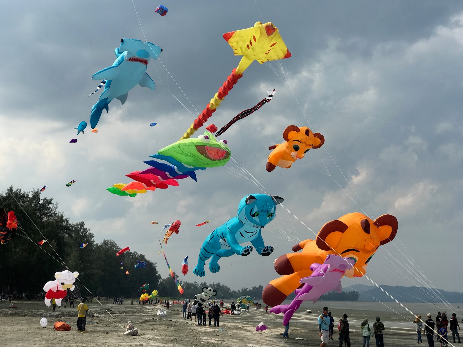 Singapore Kite Association 2017
