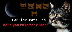 Warrior cats RPB