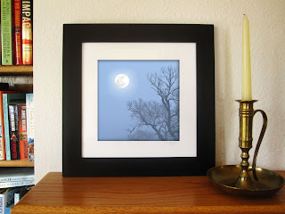 a full moon in a night sky rising over an ancient cottonwood tree twisting in the blue gray fog