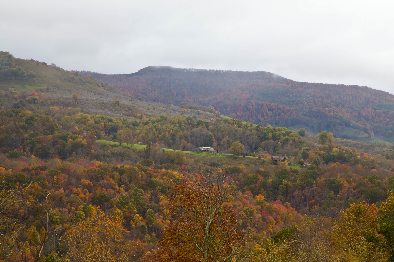 Lincoln's Domain Near Dolly Sods, West Virginia