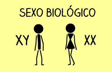 Sexo Biológico
