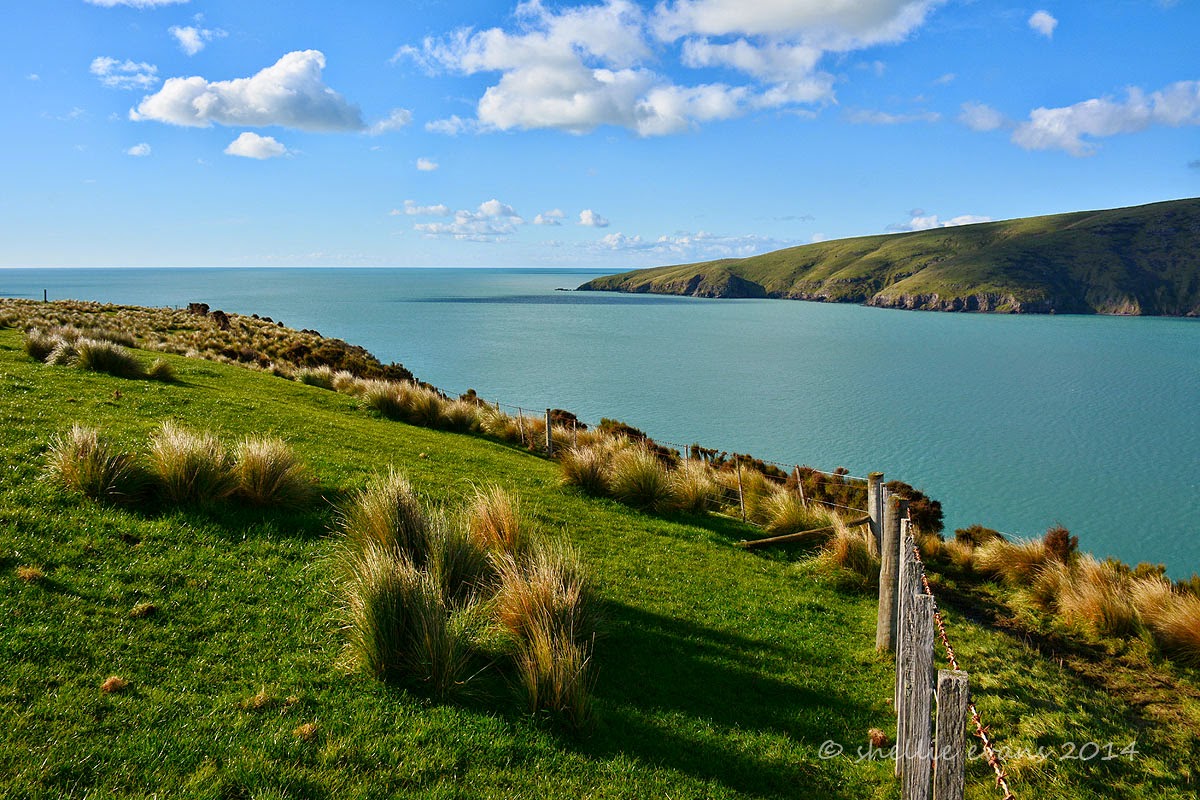 Two Go Tiki Touring Around the Bays Pigeon Bay