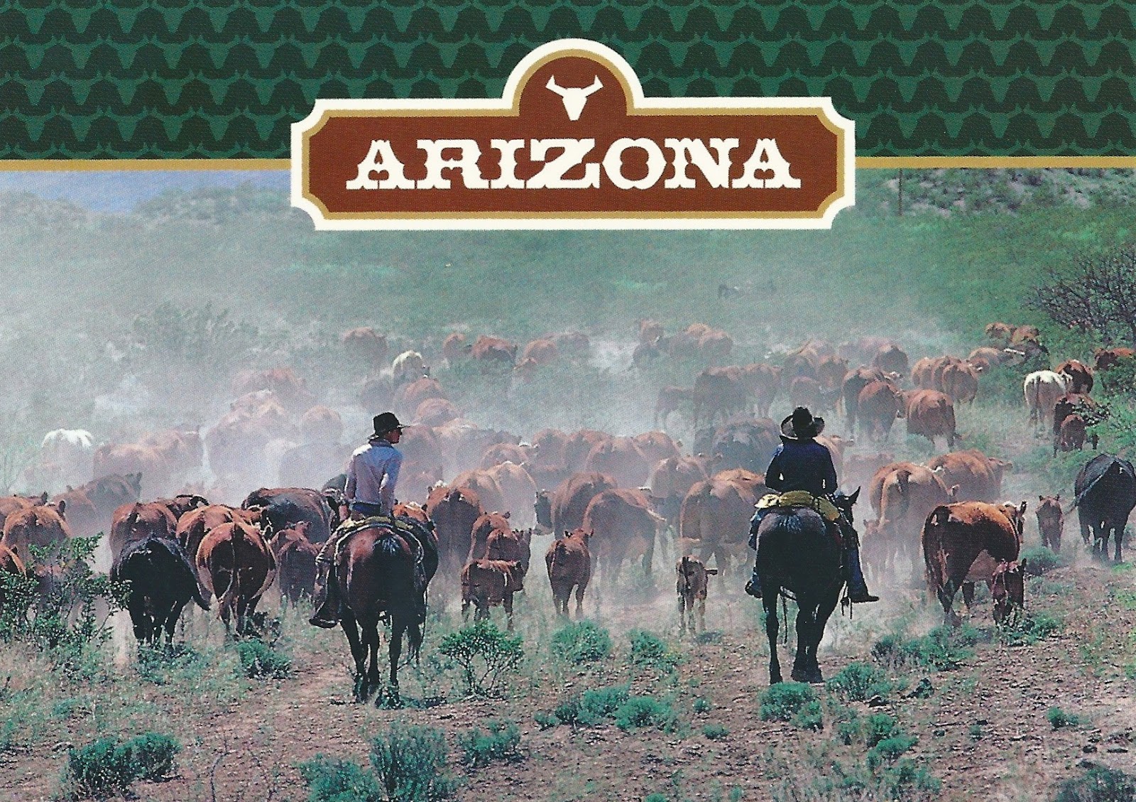 My Favorite Views Arizona A Roundup of Cattle by Cowboys