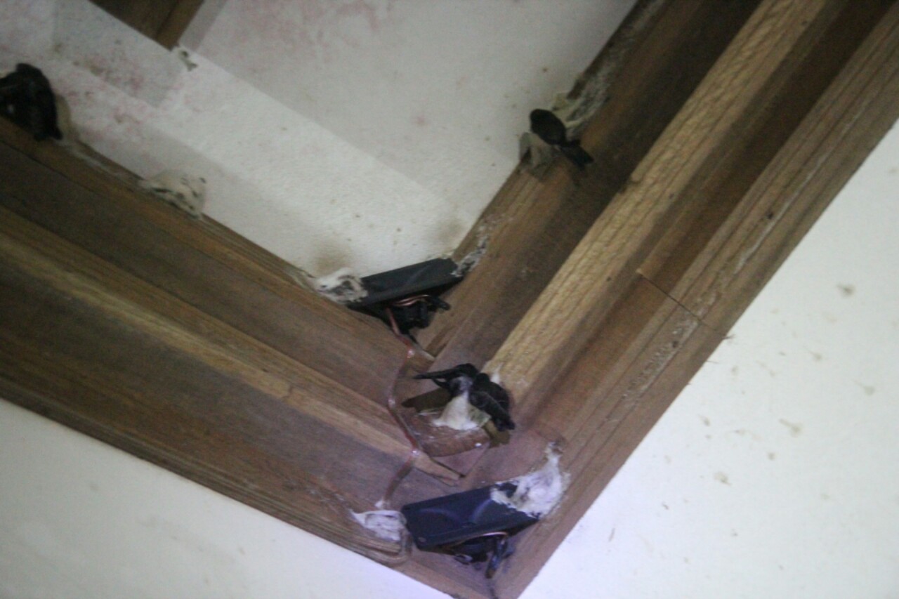 NUMIT Bird Nest 浓密燕窝 : BIRD's NEST ORIGINATED FROM TAIPING, MALAYSIA