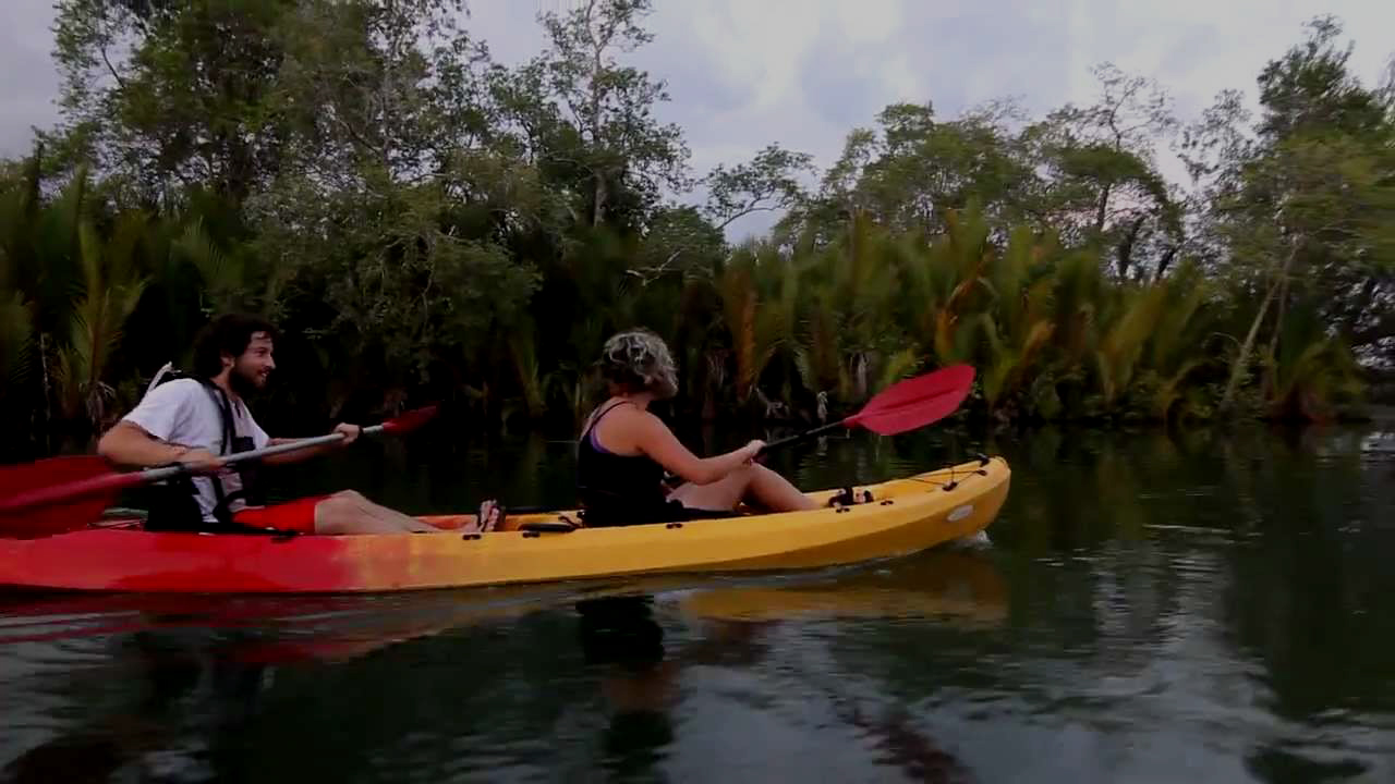 Firefly Watching Bohol Island Tour WoW Bohol Package Tours and