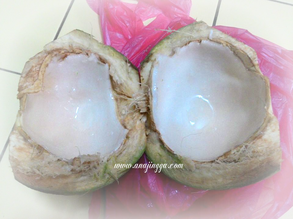 Homemade Aiskrim Kelapa Anajingga