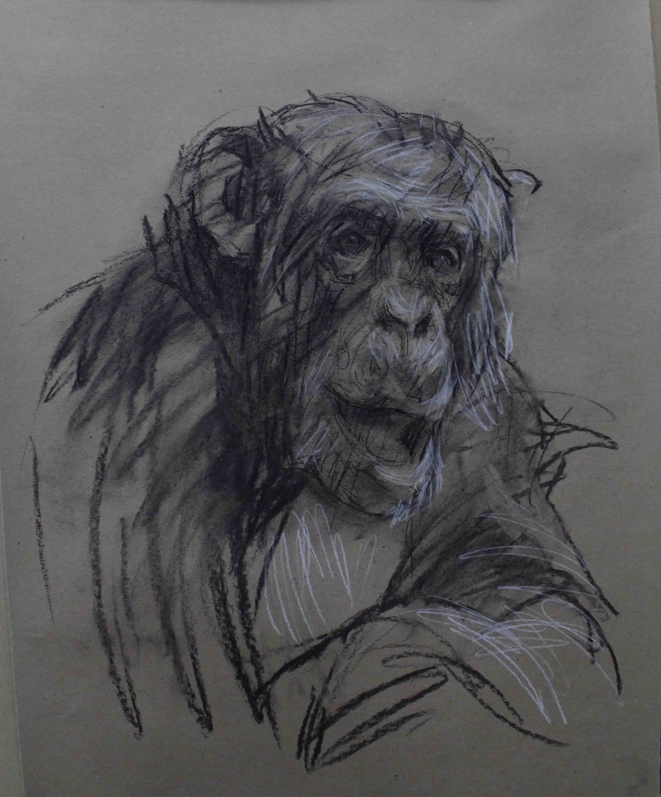 Arte Realista de Takiguthi: Gestual de macaco