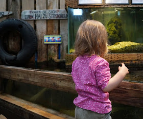 Spaß und Action für die ganze Familie: Das KidsVIP Programm von Westerland.dk Dänemark Urlaub Kinder Ausflüge Attraktionen Jyllands Aquarium Thyboroen