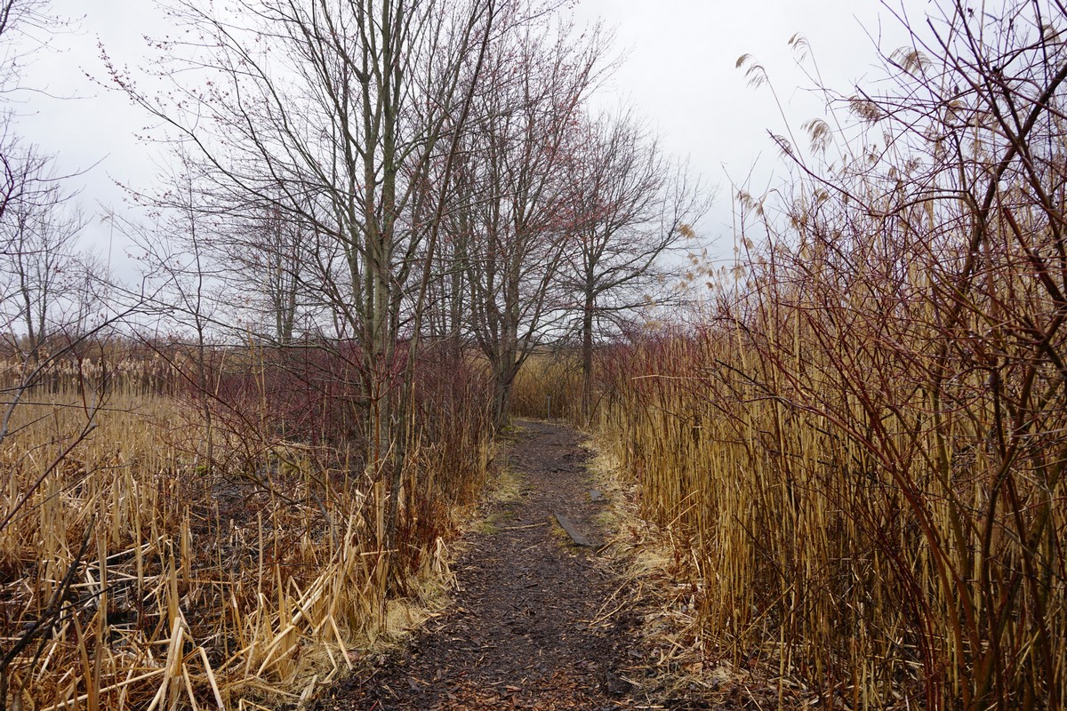 Harriman Hiker Harriman State Park and Beyond Celery Farm Loop