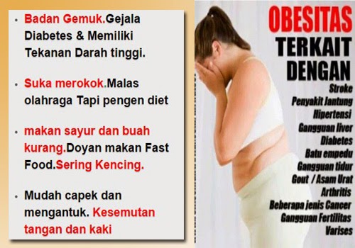 Tips Diet Sehat Cara Langsing 20 Hari Informasi