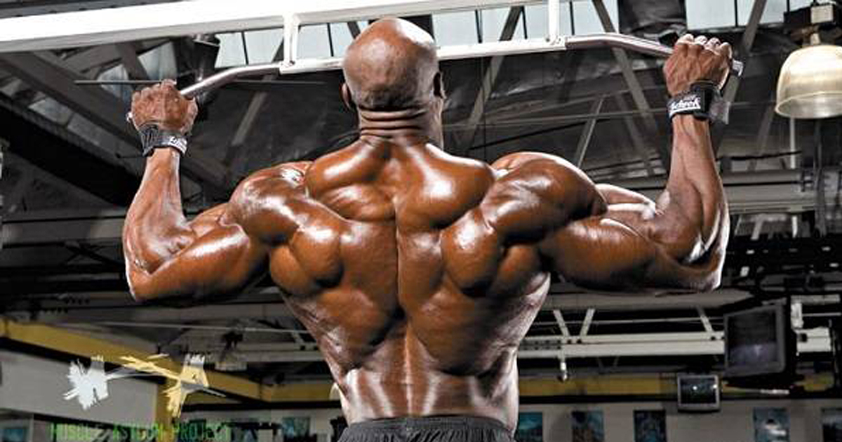 Increase Your Pulling Power with These 5 Tips! SHREDDEDFIT