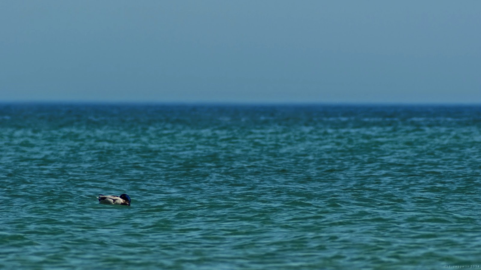 Fischland Darss Zingst Deutschlands Schonste Ostsee Halbinsel