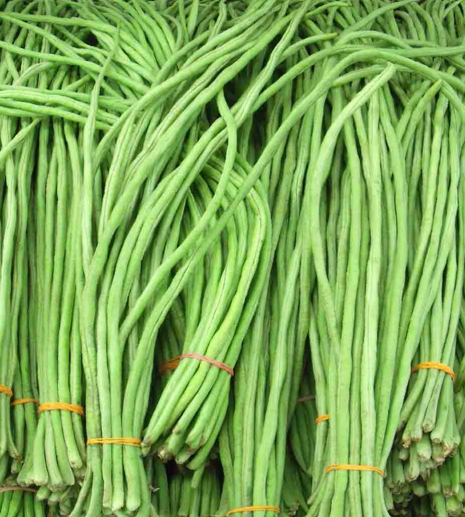 Culinary Physics How to Store Green Beans? Best Way to Store