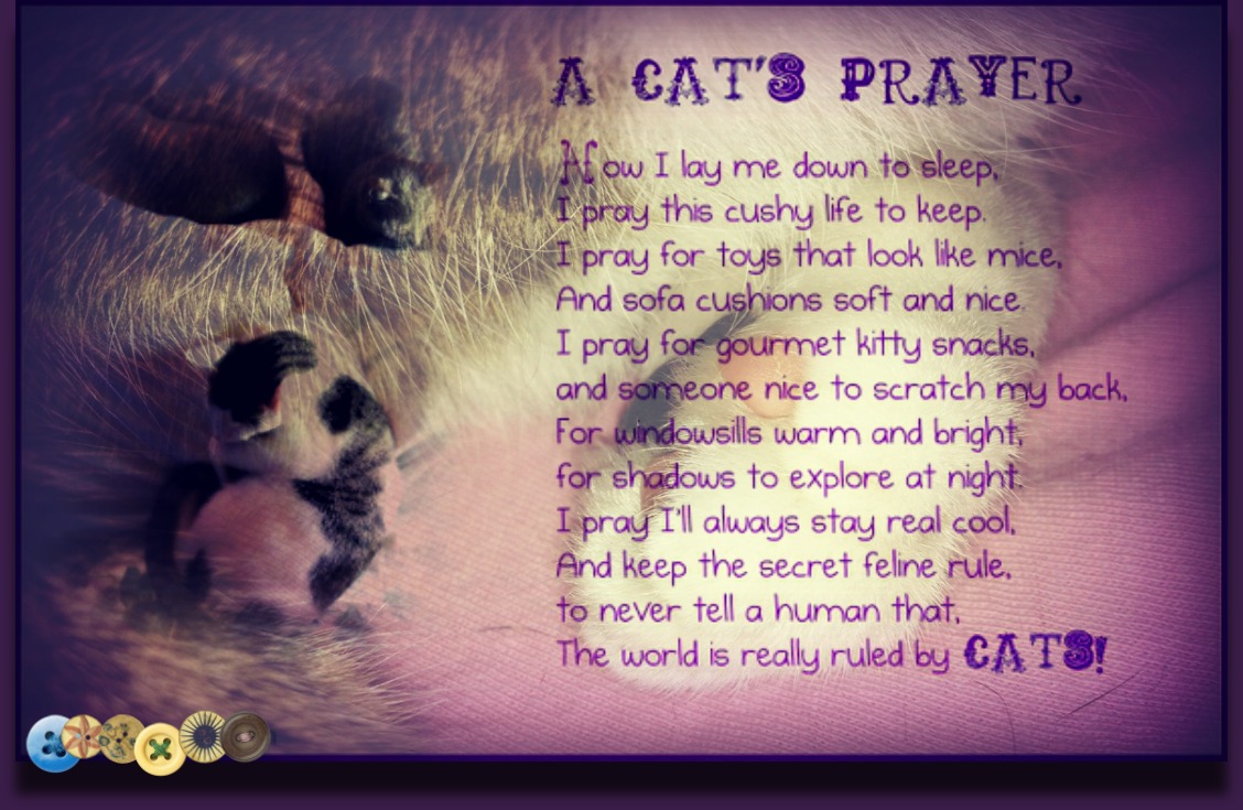 Nadiya Loving Every Moment A Cat s Prayer tomboy-review-by-fai-letterboxd