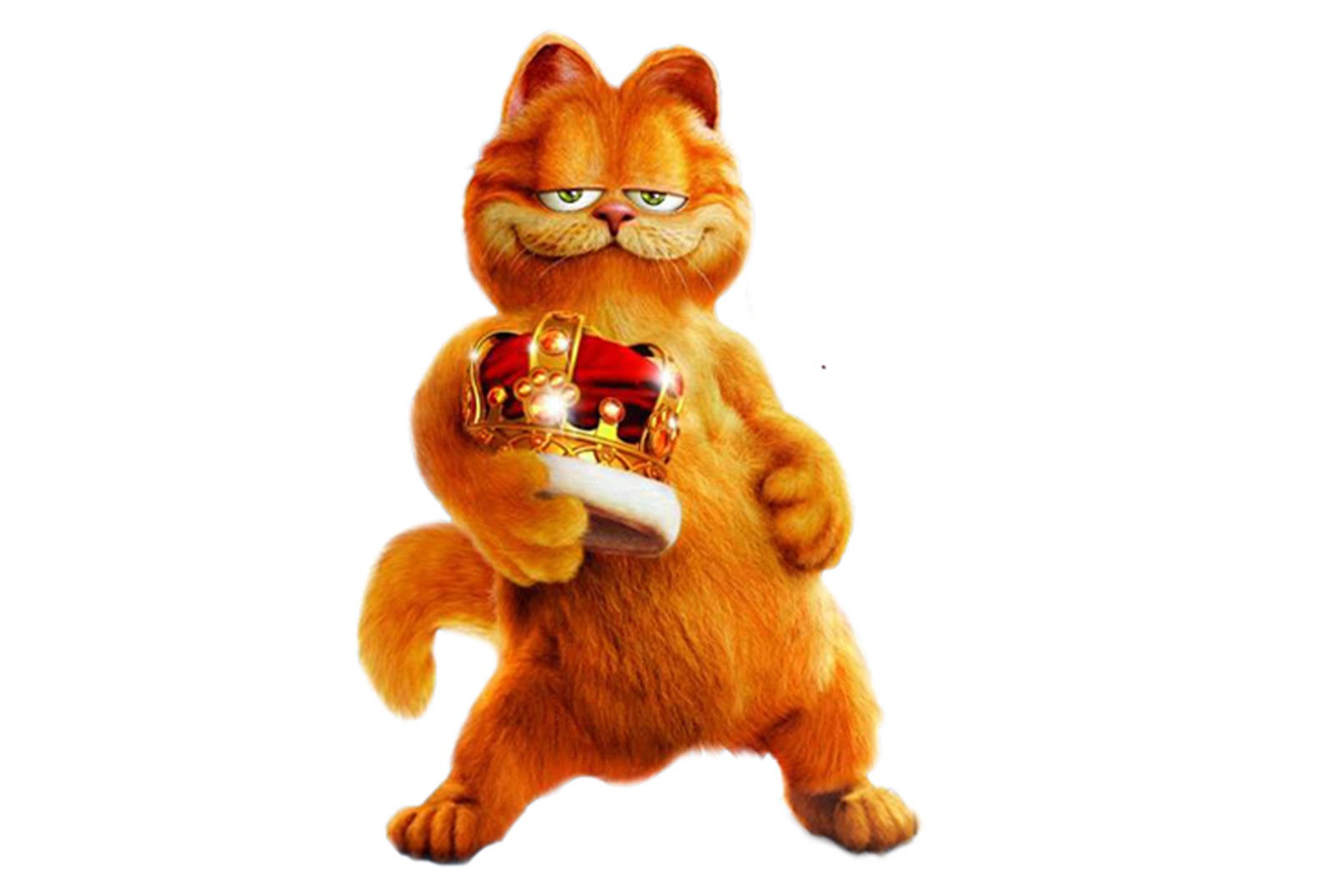  Gambar  Wallpaper Lucu Gambar Kucing Garfield  Terbaru 2019 