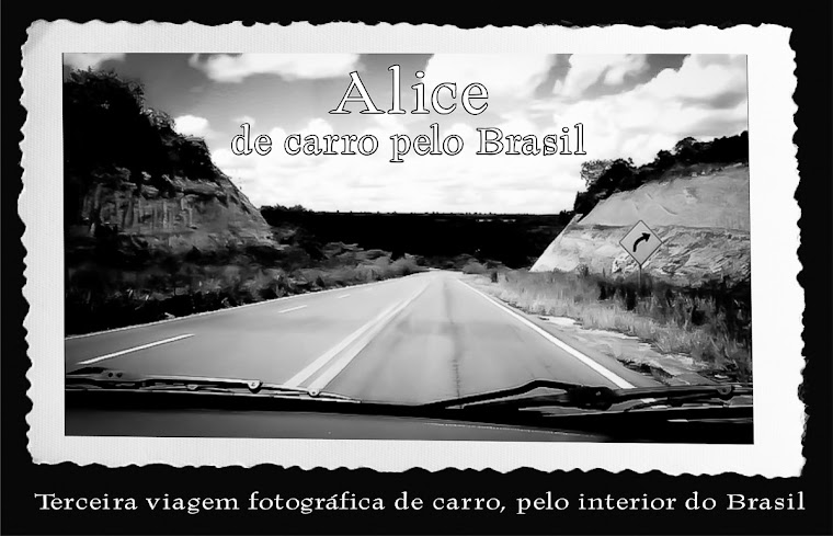 Alice de carro pelo Brasil