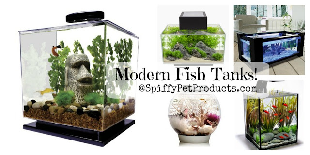 Spiffy Pet Products: The Ultimate Guide to Modern