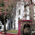 tree with flowers on Rua do Castanheiro
