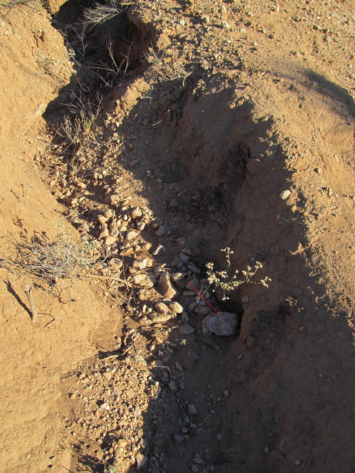 clay pit withdigig tool mimbres clay pit