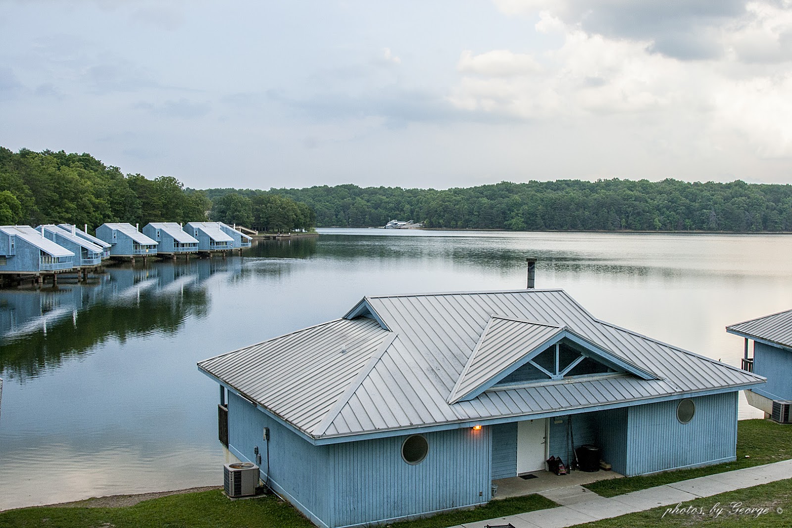 "What's Blooming Now" Fall Creek Falls State Park