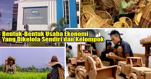 Gambar Jenis Usaha Yang Dikelola Perorangan