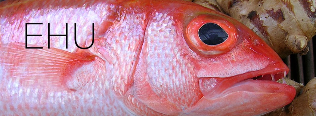 Ehu snapper Clearance