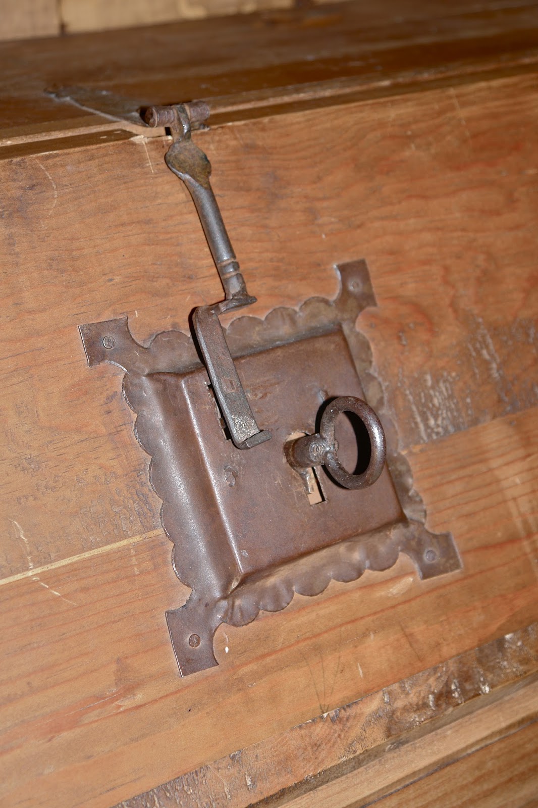 REDWOODSHIRE learning to grow; growing to learn Another amazing