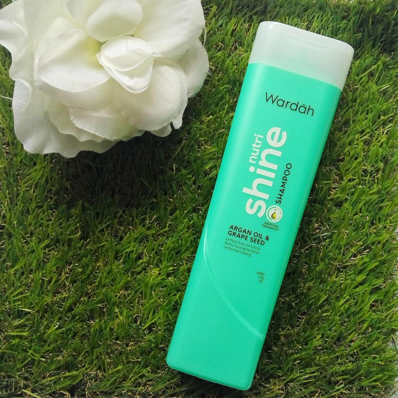 Review Wardah Shampoo all varian DaretoChange by Indonesian Beauty