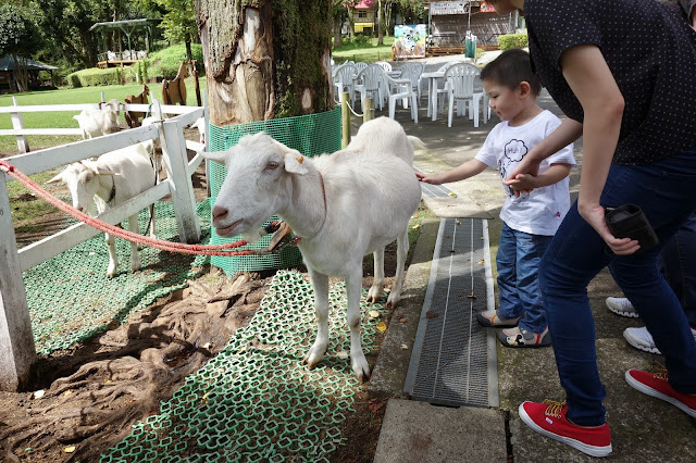 Mt Fuji makaino farm makai no farm