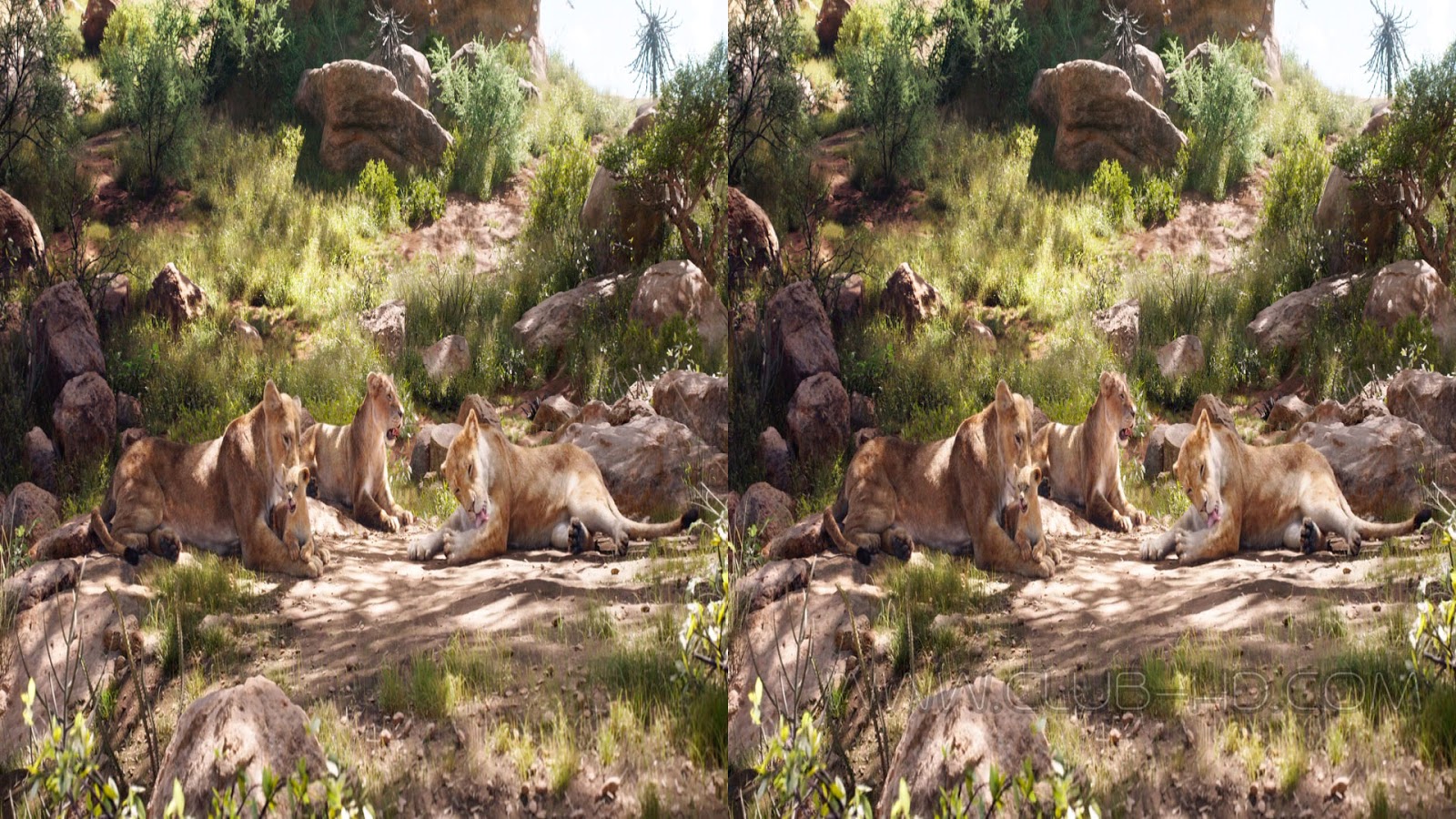 The-Lion-King-3D-CAPTURA-1.jpg